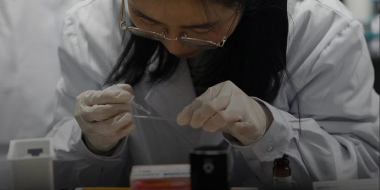 Shkencëtarët zbulojnë një terapi gjenetike që vonon plakjen