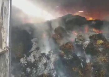 Zjarri përfshin stanin, digjen 200 krerë bagëti në Finiq (VIDEO)