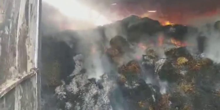 Zjarri përfshin stanin, digjen 200 krerë bagëti në Finiq (VIDEO)