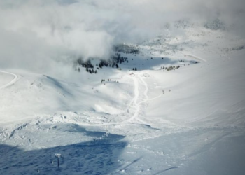 I zuri poshtë orteku, çifti shpëton mrekullisht falë qenit