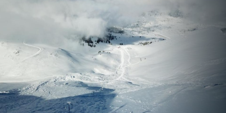 I zuri poshtë orteku, çifti shpëton mrekullisht falë qenit
