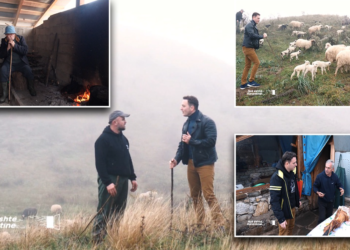 Pëllumbi, polici nga Gjirokastra që hoqi dorë nga uniforma blu për blegtorinë