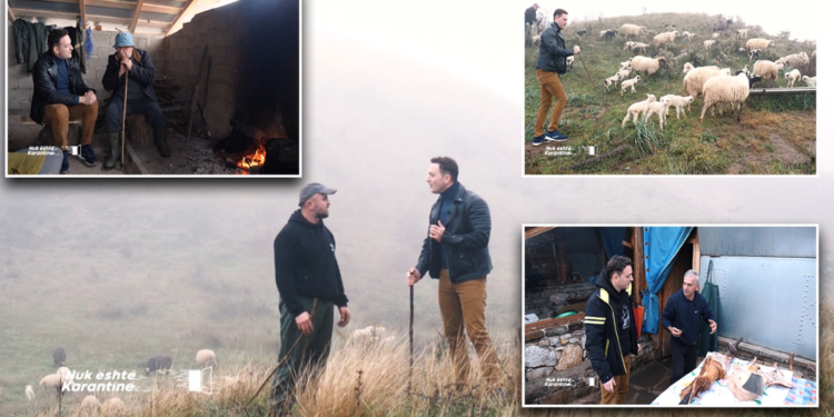 Pëllumbi, polici nga Gjirokastra që hoqi dorë nga uniforma blu për blegtorinë