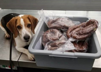 Shqiptari ‘lë nam’ në aeroport, e ndalojnë me… 40 kg suxhuk