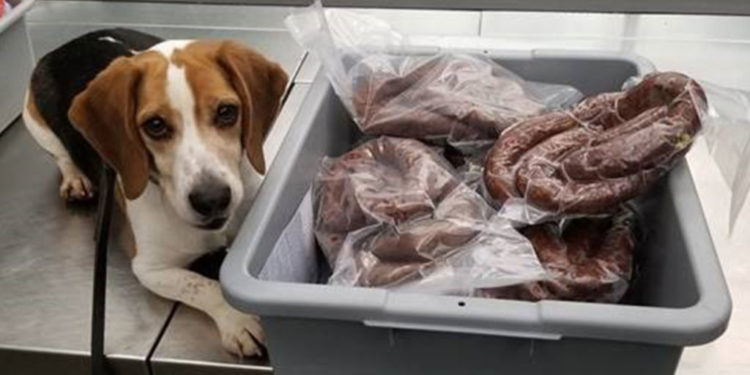 Shqiptari ‘lë nam’ në aeroport, e ndalojnë me… 40 kg suxhuk