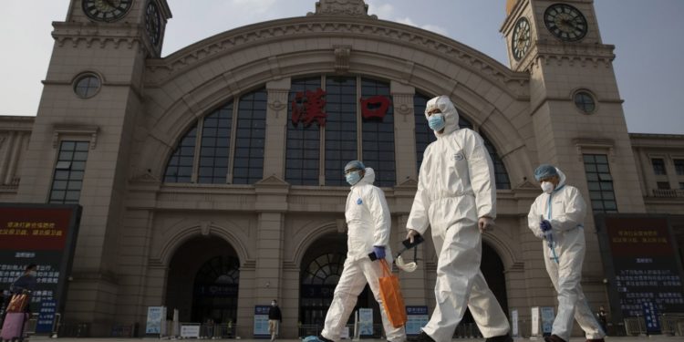 OBSH: Nuk përjashtohet mundësia që virusi të jetë krijuar në laborator