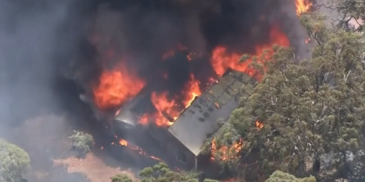 Australi/ Zjarri pushton qytetin, banorët detyrohen të thyejnë karantinën
