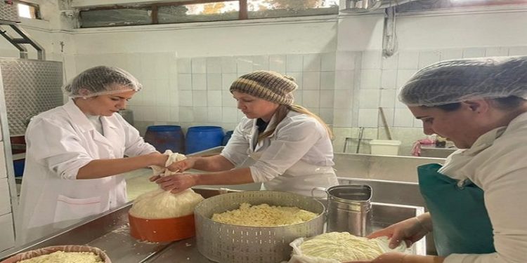 Basha skuqte vezë, Rudina Hajdari shfaqet duke përgatitur djathë kaçkavall (VIDEO)