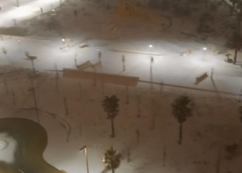 Ja parashikimi i motit për orët në vijim