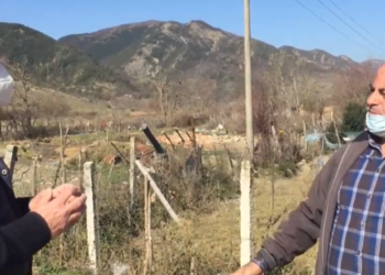 Tritan Shehu në Memaliaj lëshon perlën e radhës: Pas vitit 2013 në Shqipëri nuk është mbjellë asnjë rrënjë ulliri (VIDEO)