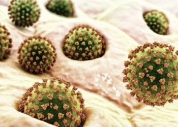 Zbulohen 7 variante të reja të Covid