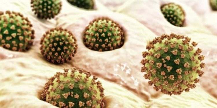 Zbulohen 7 variante të reja të Covid