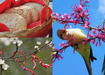 14 ‘të fshehtat’ e 14 Marsit, çfarë duhet të dini për Ditën e Verës