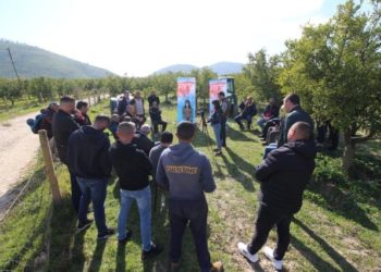 Kandidatja e PD në Sarandë: Me Bashën kryeministër s’do t’ju ngelet asnjë kilogram agrume pa shitur, ai do t’ju japë 100 milion euro çdo vit, plus grande e kredi me interes të ulët