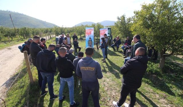 Kandidatja e PD në Sarandë: Me Bashën kryeministër s’do t’ju ngelet asnjë kilogram agrume pa shitur, ai do t’ju japë 100 milion euro çdo vit, plus grande e kredi me interes të ulët