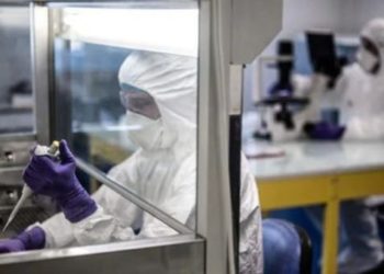 Vaksina e parë anti-Covid në formë pilule, gati për testim te njeriu