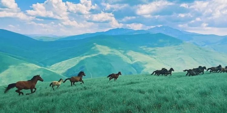 Qyteti shqiptar më i varfri në Europë, por me një bukuri mbreslënëse (FOTO)