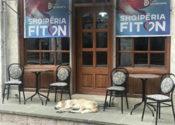 Qeni fle para lokalit me posterat e PD në Gjirokastër, Rama tallet me Bashën: Gjumi është ngjitës…