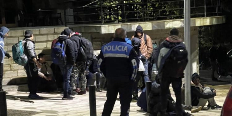 Kapen 20 klandestinë në Libohovë, trafikanti që i transportonte i shpëton policisë (FOTO)