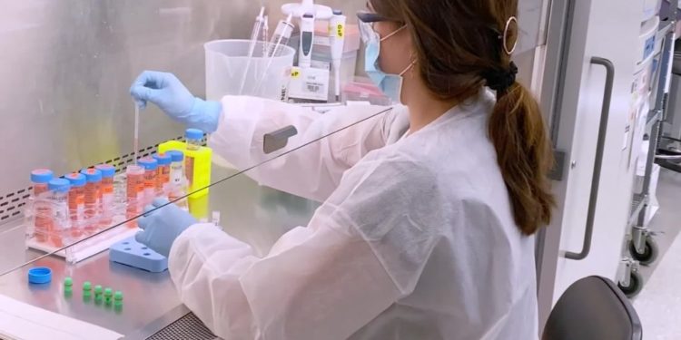 Organizata Botërore e Shëndetësisë: Varianti indian i koronavirusit është zbuluar në 17 vende