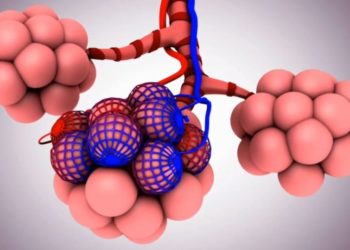 Studimi shokues, si u krijua Covid në laborator