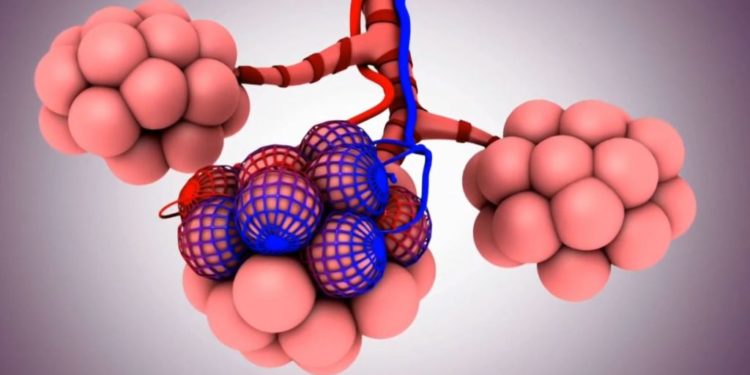 Studimi shokues, si u krijua Covid në laborator