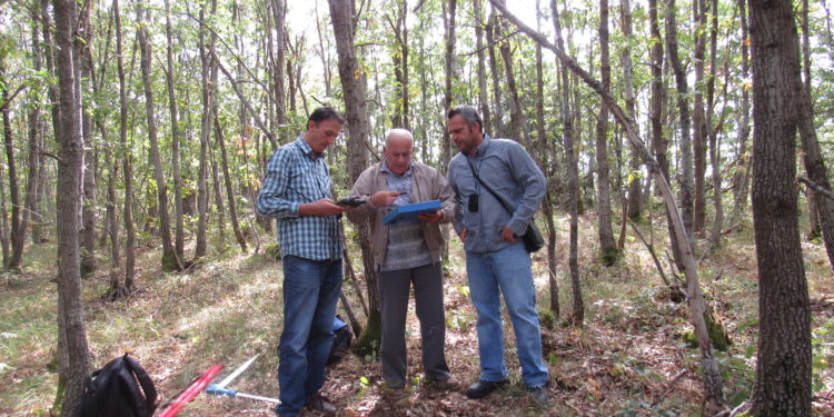 Projekti i Shërbimeve Mjedisore, Shqipëria bën inventarin e pyjeve dhe kullotave (FOTO)