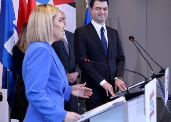 Opozita si instrument i prishur