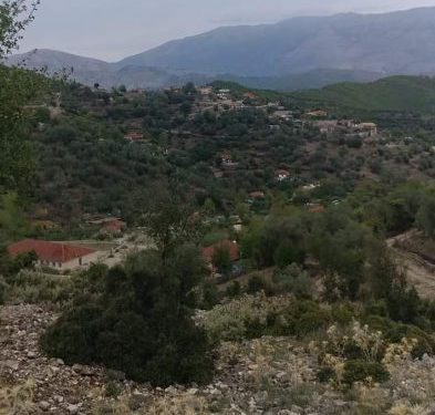 Tronditëse në Sarandë/ Shkoi në mal të mblidhte sherebel, gjendet pa jetë 65-vjeçari