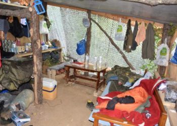 Zbulohet ferma me kanabis në Igumenicë, kapen arrestohen dy shqiptarë, tre shpallen në kërkim (VIDEO)