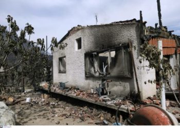 Mijëra hektarë pyje të djegura e banesa të shkatërruara nga zjarri në Greqi (FOTO)