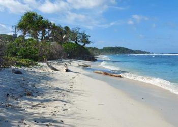 Ky është shteti i parë në botë që ka vaksinuar të gjithë popullsinë kundër Covid-19