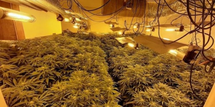 E kthejnë tempullin në ‘shtëpi gjigante bari’, kapen shqiptarët në Angli (Emrat)