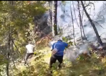 Nuk ndalet zjarri në malin e shenjtë të Tomorrit (VIDEO)