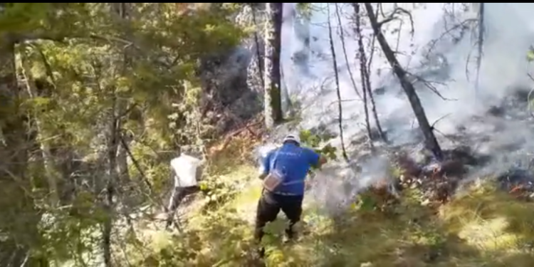 Nuk ndalet zjarri në malin e shenjtë të Tomorrit (VIDEO)
