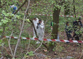 Shkoi në mal për të mbledhur rigon, i moshuri në Himarë gjendet i pajetë