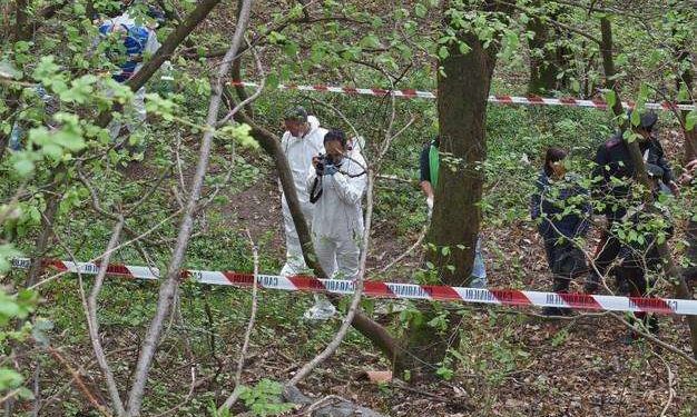 Shkoi në mal për të mbledhur rigon, i moshuri në Himarë gjendet i pajetë