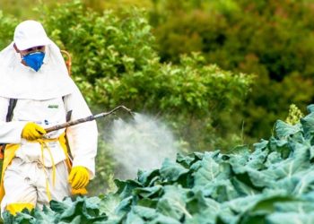 Referendumi/ Zvicra mund të bëhet vendi i parë evropian që ndalon pesticidet