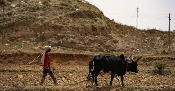 OKB flet për “pandeminë e ardhshme që nuk do të ketë vaksinë”