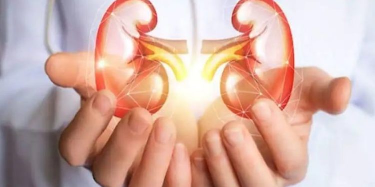 A shkakton Covid-19 probleme me veshkat? Ja çfarë duhet të dini