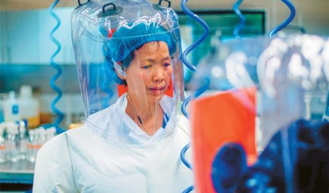 Si “rrodhi” Covid-19 nga laboratori dhe çfarë po fsheh ekspertja kineze e lakuriqëve të natës