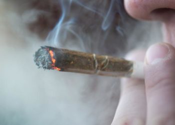 Skizofrenia e lidhur me çrregullimin e përdorimit të marihuanës sipas një studimi të fundit