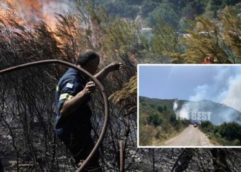 Greqia sërish “në flakë”, zjarr në një zonë pyjore në Drosia (VIDEO)