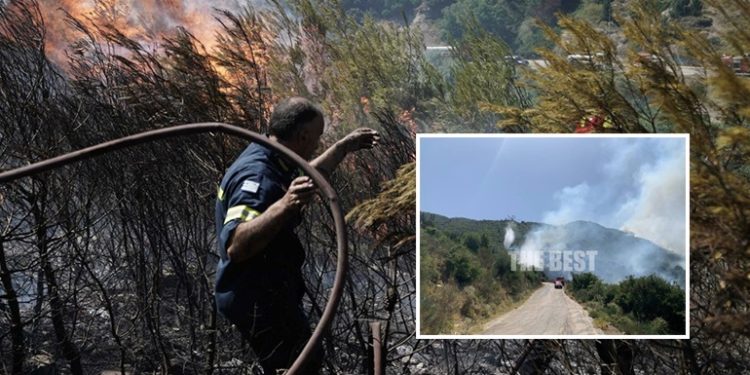 Greqia sërish “në flakë”, zjarr në një zonë pyjore në Drosia (VIDEO)