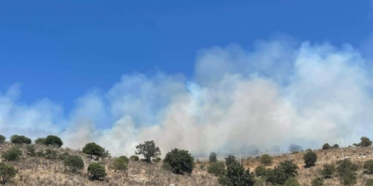 Përfshihet nga zjarri kodra në Gjirin e Hartës në Ksamil