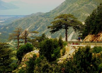 Humbën në pyllin e Llogarasë, dy turistët gjenden pas 14 orësh kërkime