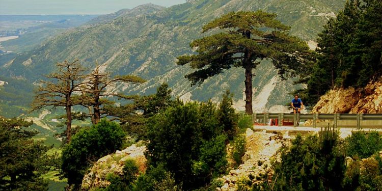 Humbën në pyllin e Llogarasë, dy turistët gjenden pas 14 orësh kërkime