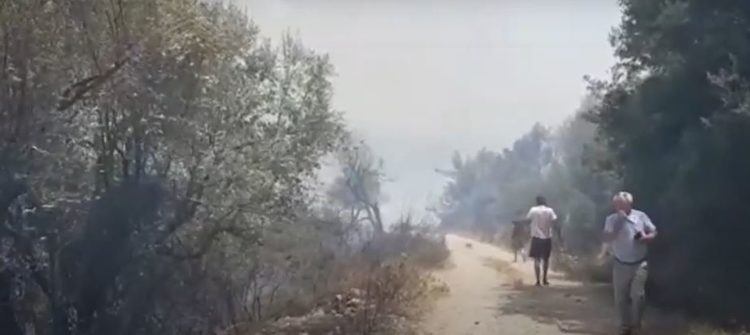 Sarandë: Flakët djegin kodrën, banorët me lopata ndihmojnë zjarrfikësit për të shuar flakët