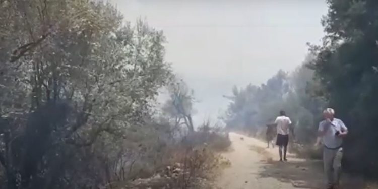 Sarandë: Flakët djegin kodrën, banorët me lopata ndihmojnë zjarrfikësit për të shuar flakët