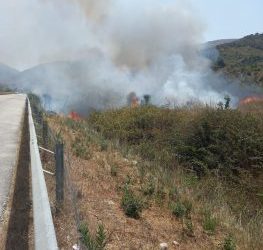 Zjarr i madh në Finiq, rrezikohen disa stane bagëtish (FOTO)